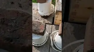 Bucket Feeders