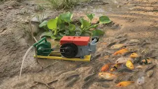 Wild Pond Harvest Adventure! Powerful Fish Pump & Muddy Crazy Catches