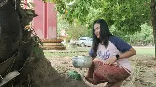 Updating my rice field.