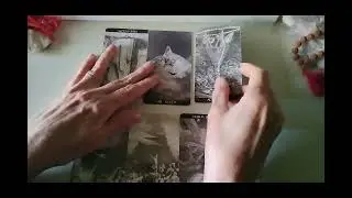 СКОРПИОН СИДЕРЕАЛ ~ ЗАСТИГНУТ В ЗАСТИЖЕНИЕ ~ Таро-расклад на январь 2026 года