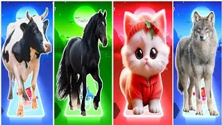 Funny Cow 🆚 Funny Horses 🆚 Funny Cat 🆚 Funny Wolf Coffin Dance Song 