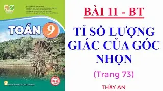 Bài 11🌹TỈ SỐ LƯỢNG GIÁC CỦA GÓC NHỌN🌹(Bài tập trang 73)🌹TOÁN LỚP 9🌹Kết Nối Tri Thức