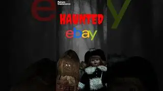 We Bought A Haunted Doll From eBay!