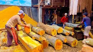 The Luckiest!! Sawing Jackfruit Wood Like This, Export-Quality Block Material.