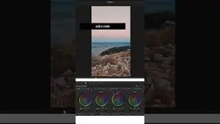easily convert video into Black & White in DaVinci Resolve. 