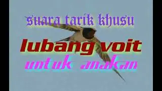 khusus tarik anakan ke lubang voit dan ruang inap