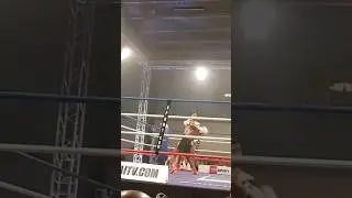 Kickboxing Knockout (Right Hook K.O.)
