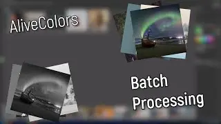 Batch Processing in AliveColors