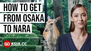 How to get from Osaka to Nara