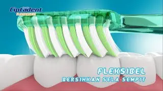 Bersihkan Hingga ke Sela Gigi Terdalam dengan Ciptadent Flexi Clean