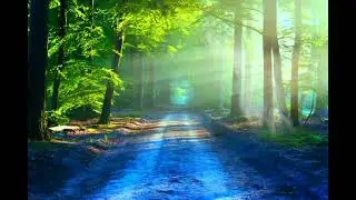 beautiful nature green screen free background/new what's up status