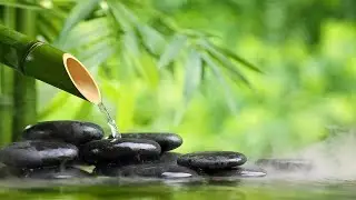White Noise Bamboo Water Fountain _ White Noise for Sleeping 10 Hours