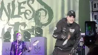 Motionless In White  - STEOTW