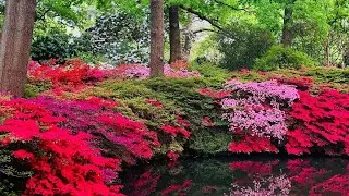 Visit in this place in spring in Melbourne