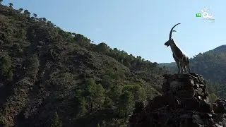 MÁLAGA CARRETERA Y MANTA, TOLOX