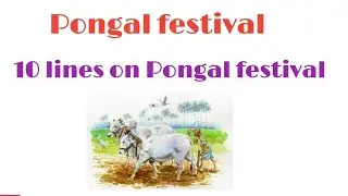 10 Lines on Pongal festival || Essay on Pongal festival in English 
