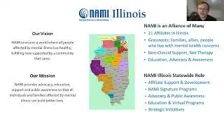 NAMI Illinois Policy Platform & Legislative Update