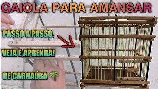 GAIOLA PEQUENA PARA AMANSAR 🐦 PASSO A PASSO.