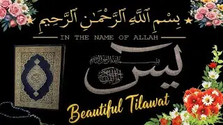 talawat hub official لائیو ہے!