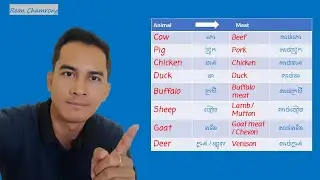 Learn English Vocabulary Animals and names of their meat