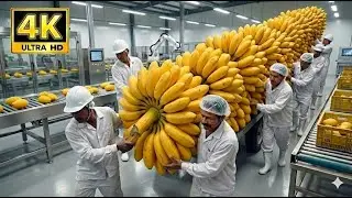 Inside a Banana Processing Plant 🍌 How Bananas Become Nutritious Food Full Process