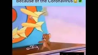 Exam Cancel WhatsApp Status | Exam Cancelled Because Of The CoronaVirus Status | Exam Finish status