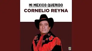 Lágrimas De Mi Barrio