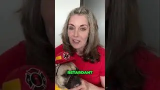 Pet Emergency Prep Checklist 🧯 Food, Meds, & Gas Safety Tips! [Part 1]