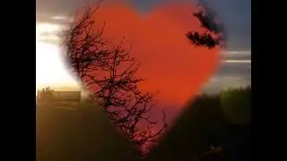 Faith is...by Jane Hamilton ( feat Eckhart Tolle)