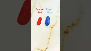 Paint mixing: Scarlet Red and Royal Blue #paintmixing #colormixing #asmr #satisfying #shorts