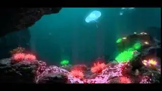 VANAQUA - LUMINESCENE