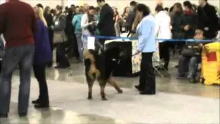 Россия 2014 моно тибетов ПК