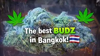 The Best BUDZ in Bangkok! 🇹🇭 Episode #77