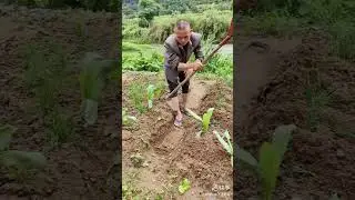 The end 😂😂 4 #shorts #fails #funnyvideo #trendingvideo😂🎥