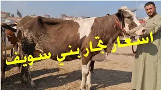غضب كبير من كل المتابعين من اسعارتجار بني سويف في البقر العشر ووالد في تقرير من امام سوق الزقازيق