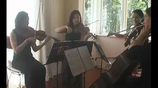 Summertime by Gershwin - Performed by the Nikau String Quartet (Auckland, NZ)