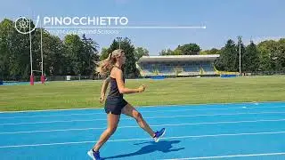 Pinocchietto