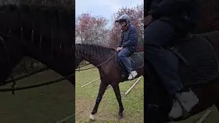 Муж украл мою лошадь😮