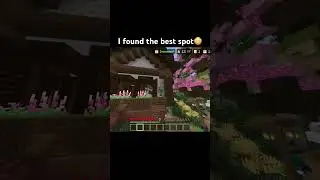 I found the best spot😳 #minecraft #minecraftmemes #murdermystery #mm2 #shorts
