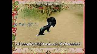 TIPS on roleplaying as A MEDICINE CAT APPRENTICE! |WC:UE K1T3!! 