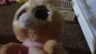 Twinkle Toes video