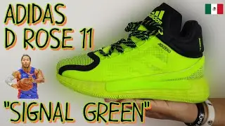 Tenis D ROSE 11 