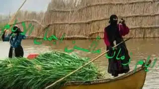 ستار المالكي