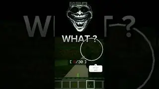 Minecraft Disaster 💀