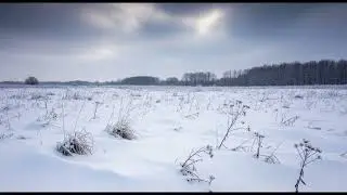 Whispers from the Frost
