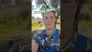 Evening chores on the farm 💚 #farmlife #homestead #offgrid #selfsufficiency #portugal