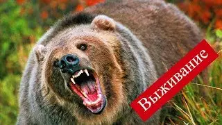 Выживание в Сибирской тайге 1 часть