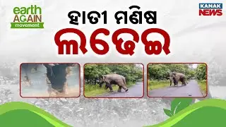 Human-Elephant Conflicts Rising In Koida, Udayagiri & Nayagarh: Tragic Encounters Unfold