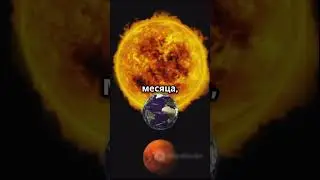 Интересные факты о Марсе ￼