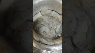 Fresh prawn before cleaning #viralvideo #food #foodlover #prawns #odiafood